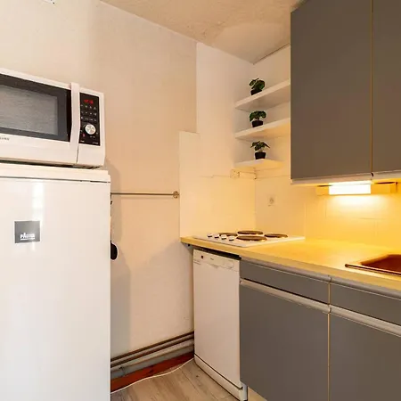 T3 Lumineux Pour 6 Personnes Au Coeur De Saint-lary * Saint-Lary-Soulan
