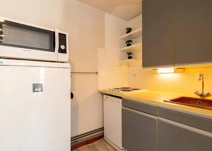 T3 Lumineux Pour 6 Personnes Au Coeur De Saint-lary - Fr-1-296-526 * Saint-Lary-Soulan